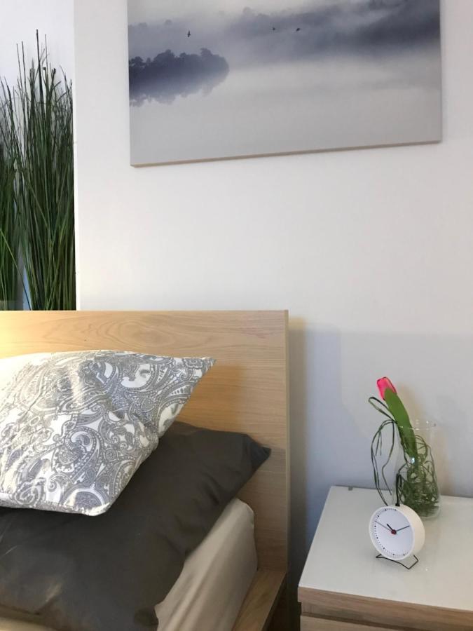 Apartament Starowka Ζιελόνα Γκόρα Εξωτερικό φωτογραφία