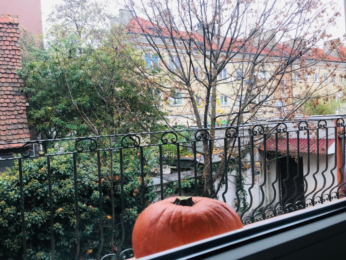 Apartament Starowka Ζιελόνα Γκόρα Εξωτερικό φωτογραφία
